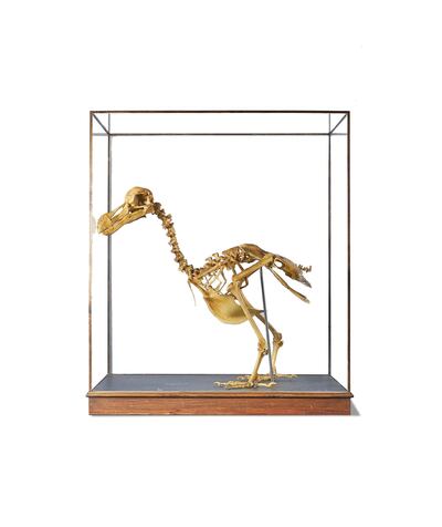Lot 135: a resin-cast dodo skeleton. Courtesy Dreweatts
