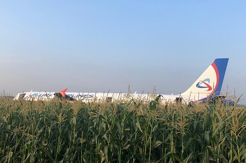 This handout picture taken and released on August 15, 2019, by the Investigative Committee of Russia shows the Ural Airlines Airbus A321 after a hard landing on a corn field outside Moscow's Zhukovsky airport. A Russian Airbus with more than 230 people aboard was forced to make an emergency landing in a corn field outside Moscow after hitting a flock of seagulls, officials said. AFP PHOTO