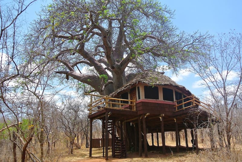 The Treehouse at Tarangire Treetops. Courtesy Elewana Collection
