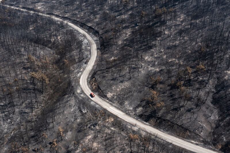 A fire department vehicle passes through a burnt forest in Dadia National Park, a major sanctuary for birds of prey