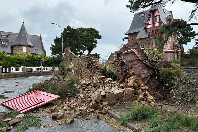 A fallen tree in Perros-Guirec, Brittany, western France. Reuters