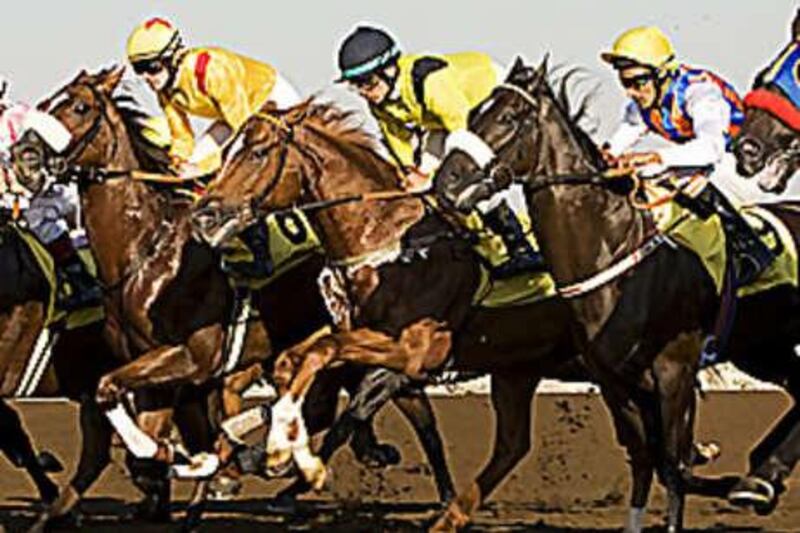 Horses head down the track during the third race on the opening day at the Jebel Ali Race Course.