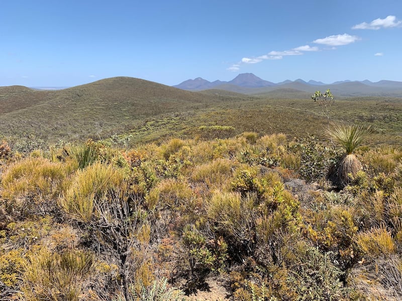 The aftermath of the 2019-2020 bushfires in the Stirling Ranges National Park, Western Australia. Louise Burke/The National