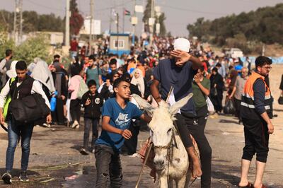 Palestinians, one on a donkey, flee Gaza city and other parts of northern Gaza towards the southern areas on November 9, 2023. AFP