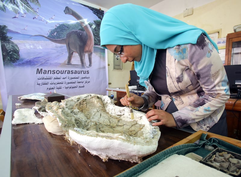 Scientific researcher Sanaa El-Sayed works on the 80-million-year-old remains of a plant-eating dinosaur from the Cretaceous period, in Cairo, Egypt, in February 2018. EPA