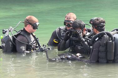 UAE and US forces are taking part in the Native Fury military exercise. Courtesy: Wam