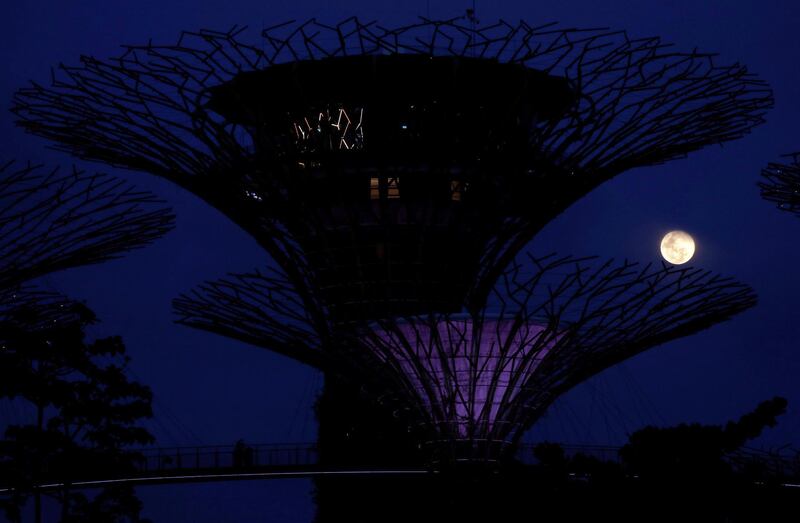 The moon rises to become a pink supermoon among the Supertree Grove at Gardens by the Bay, in Singapore. Reuters