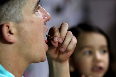 Biologist Federico Paniagua eats a cricket during lunch while promoting the ingestion of a wide variety of insects as a low-cost and nutrient-rich food, in Grecia, Costa Rica, July 13, 2019. Picture taken July 13 2019. REUTERS/Juan Carlos Ulate