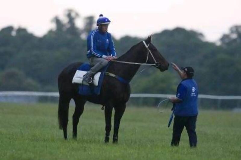 Black Caviar lost weight during a 30-hour flight from Australia via Sharjah but is fine now. Alan Crowhurst / Getty Images