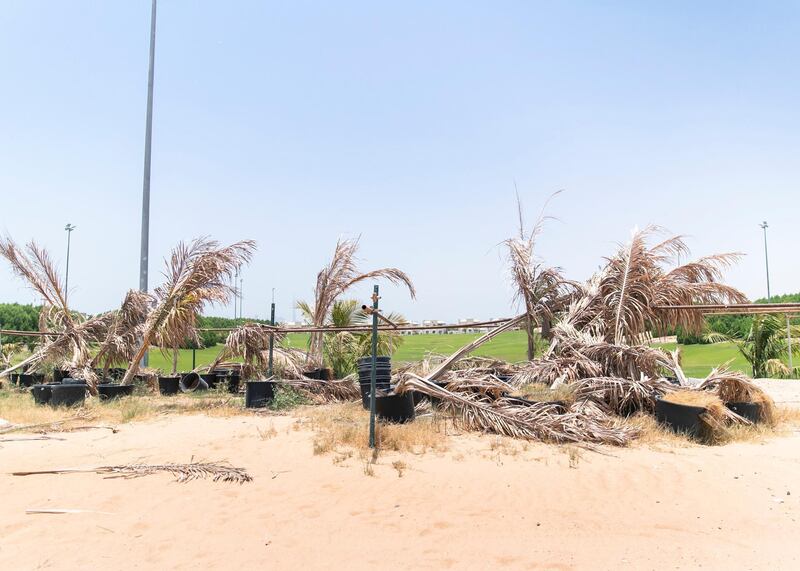 DUBAI, UNITED ARAB EMIRATES - JULY 15 2019.

Dead plants by the unfinished golf course at Living Legends.

Some residents and investors of Living Legends have paid Dh6m for villas, and pay Dh25,000 a year in service charges but the development still looks like a construction site, with an unfinished golf course, roads, open sewer works near the school, poor lighting and no desert boundary meaning dangerous snakes and animals are regularly getting into the gardens and villas. 

(Photo by Reem Mohammed/The National)

Reporter: NICK WEBSTER
Section: NA