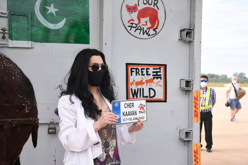 Cher holds a welcoming sign for rescued elephant Kaavan in Siem Reap, Cambodia. AP