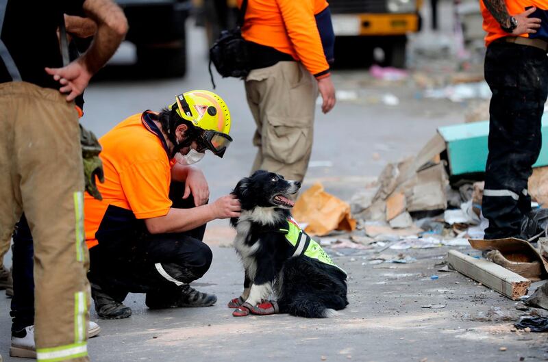 Onlookers gather as rescue workers dig through the rubble of a badly damaged building in  Lebanon's capital Beirut in search of possible survivors from a mega-blast at the adjacent port one month ago. AFP