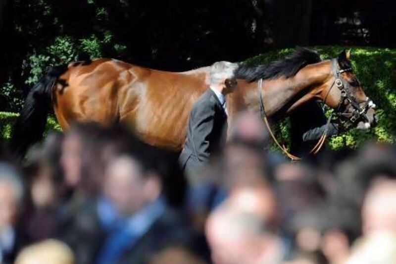 Frankel retired last season after winning all 14 of his races.