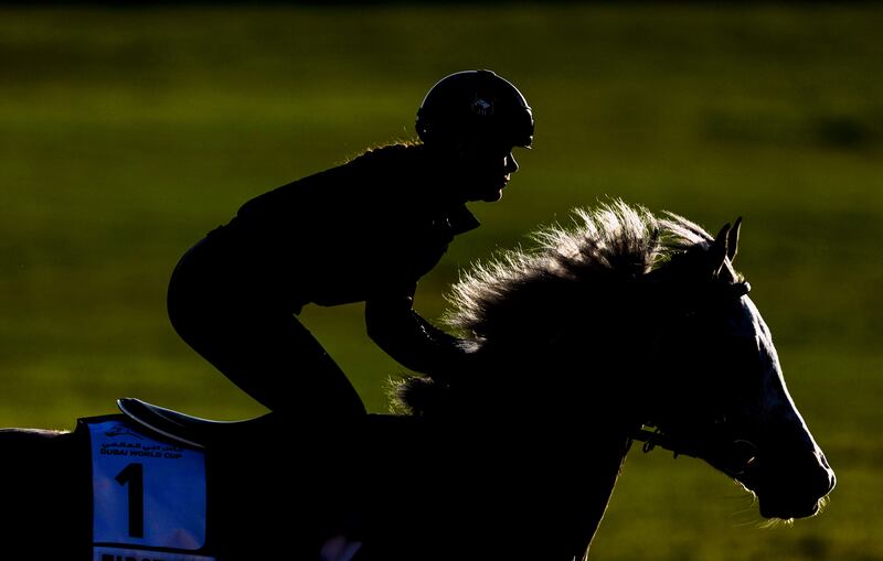 A jockey rides First Class from the US during preparations for the Dubai World Cup.