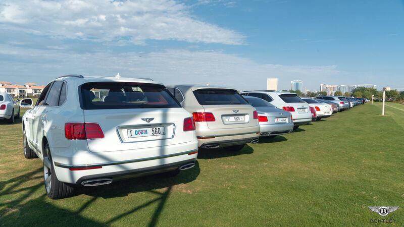 The cars parked at Al Habtoor Polo Resort and Club.