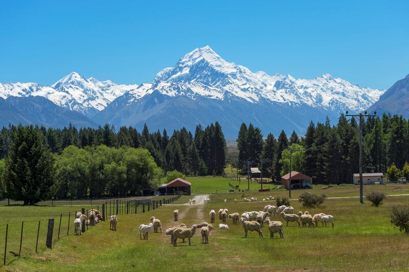 Mount Cook is the highest mountain in New Zealand.