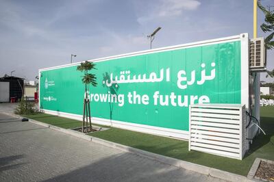 ABU DHABI, UNITED ARAB EMIRATES. 10 JANUARY 2019. Masdar Farm smart farming initiative, ahead of Abu Dhabi sustainability week. The Madar Farms Smart Farming retrofitted shipping container that grows 4 tons of leavy greens per year. (Photo: Antonie Robertson/The National) Journalist: Nick Webster. Section: National.