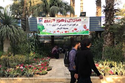 The majority of participants are selling flora that are native to Egypt, including roses and bougainvillea. The National 