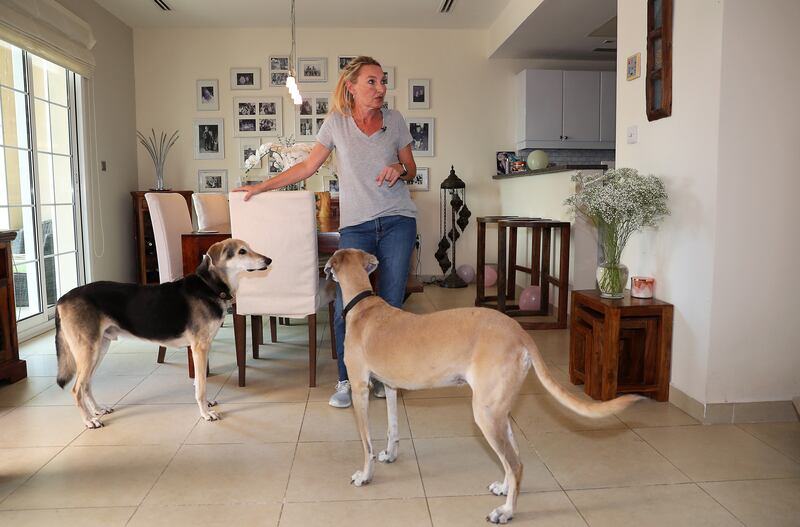 Communications consultant Rebecca Rees with her dogs Sam and Ella, at her rented house in Jumeirah Village Triangle in Dubai. All photos: Pawan Singh / The National