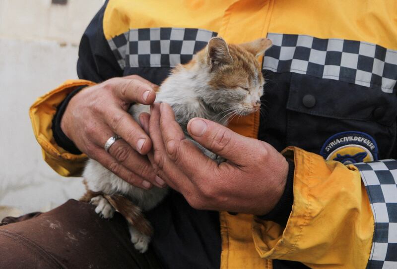 A White Helmets volunteer holds a rescued cat in the rebel-held town of Jandaris, Syria. Reuters