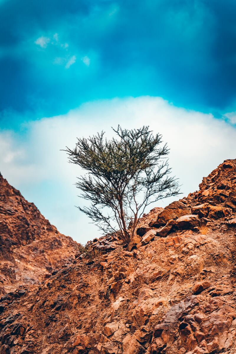 Wadi Abadilah, Fujairah. Photo: Kareem Mazhar