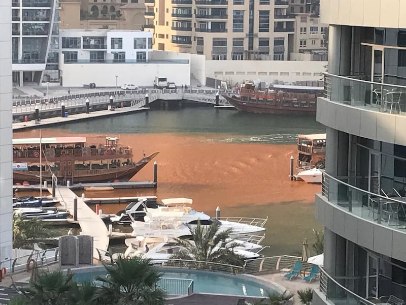 The waters of Dubai Marina turned orange on Thursday. Courtesy Stewart Clarke