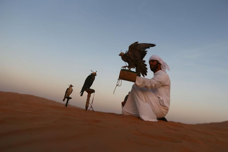 An Emirati from the Qubaisi tribe trains falcons in the Liwa desert during the Liwa Moreeb Dune Festival.