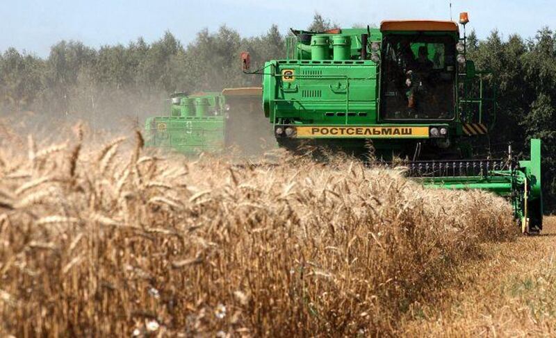 Egypt will buy an estimated 8 million tons of wheat in 2009/10 to meet annual consumption of 16 million tons.