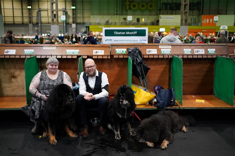 A couple pose with their Tibetan mastiffs at Crufts. PA