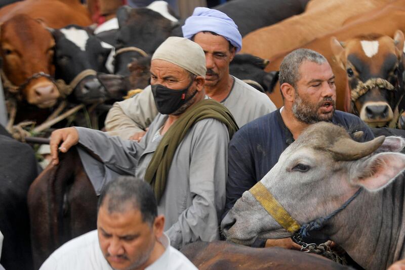 Vendors await customers at a cattle market in Al Manashi village following the outbreak of the coronavirus disease in Giza, on the outskirts of Cairo, Egypt. Reuters