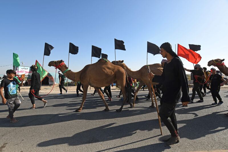 Pilgrims march from the country's southern city of Nasiriyah in the Dhi Qar province to Karbala. AFP