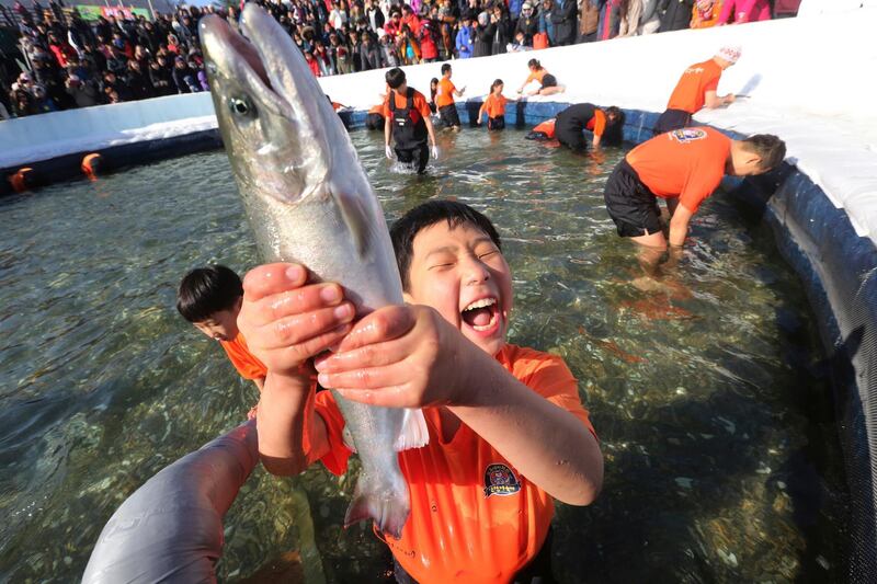 A boy shouts after catching a trout during a trout catching contest in Hwacheon, South Korea. The contest is part of an annual ice festival which draws over 1,000,000 visitors every year. Ahn Young-joon / AP Photo