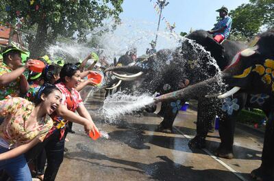 2018 年 4 月 11 日，在大城府泰国新年泼水节前的仪式上，游客和大象互相泼水。佛教新年节日于 4 月 13 日正式开始，持续三天。  / 法新社照片 / 罗密欧 GACAD