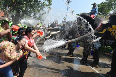 Visitors and elephants splash water at each other during a ceremony ahead of Songkran Festival for the Thai New Year in Ayutthaya on April 11, 2018. 
The Buddhist new year festival officially starts on April 13 and runs for three days.  / AFP PHOTO / Romeo GACAD