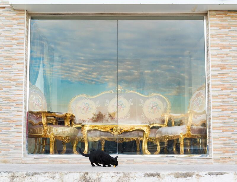 'Furniture Market, Stray Cat' (2018). Photo: Farah Al Qasimi