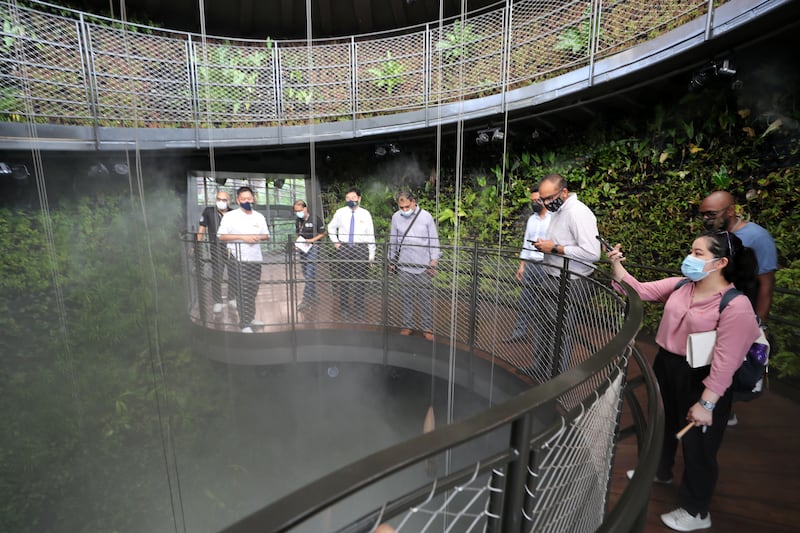 Visitors can walk through hanging gardens in the pavilion.