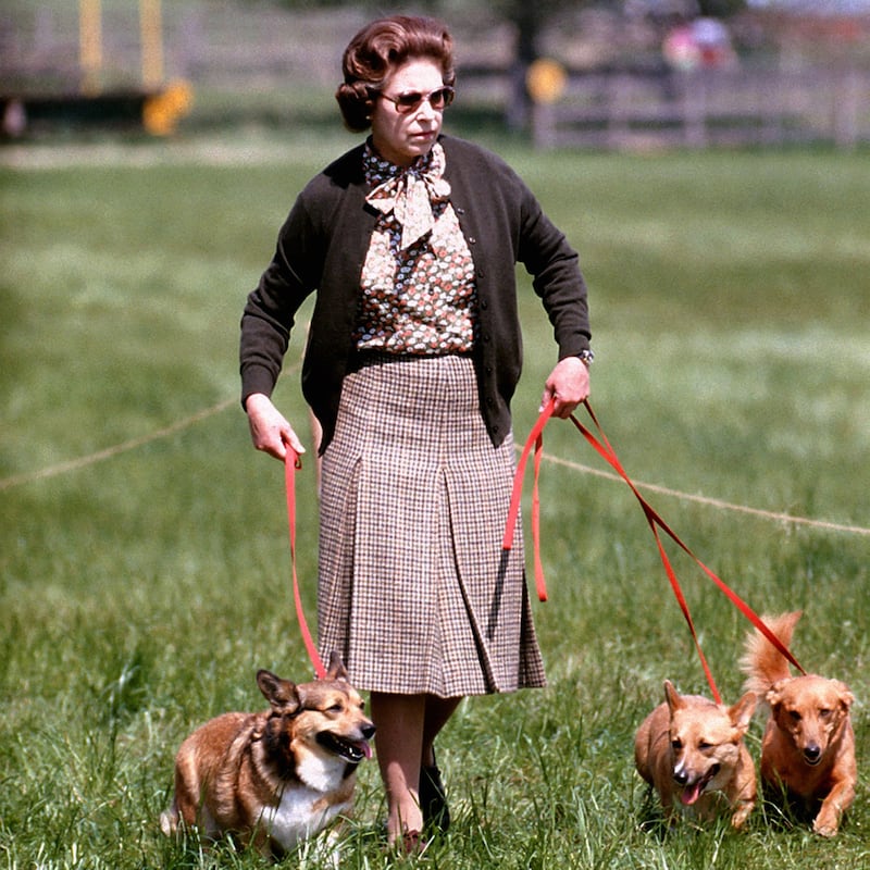 Queen Elizabeth II with some of her corgis walking the Cross Country course during the second day of the Windsor Horse Trials in 1980. Reuters 