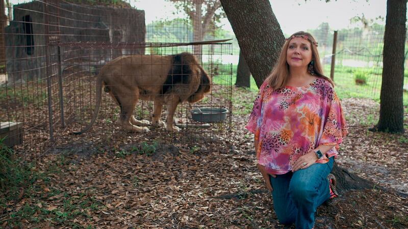 ‘Tiger King’ star Carole Baskin now has ownership of rival Joe Exotic’s old zoo in Oklahoma. Netflix 