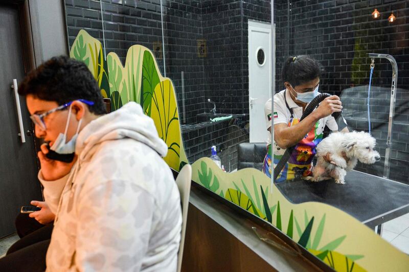 Dog grooming is also available at the Barking Lot cafe. AFP