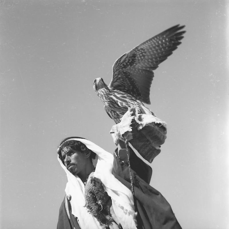 A Bedouin carrying a falcon in the Syrian desert, taken by Jibrail Jabbur, gelatin silver negative on film. Norma Jabbur collection, courtesy of the Arab Image Foundation
