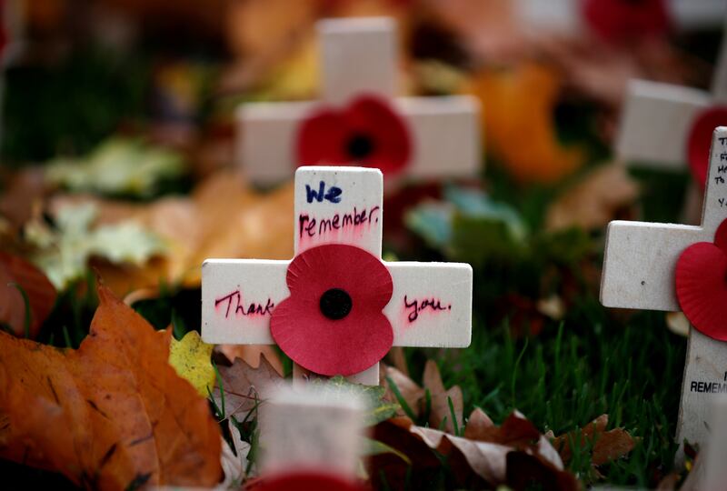 Poppies are seen at the Field of Remembrance in Saltwell Park in Gateshead. Reuters