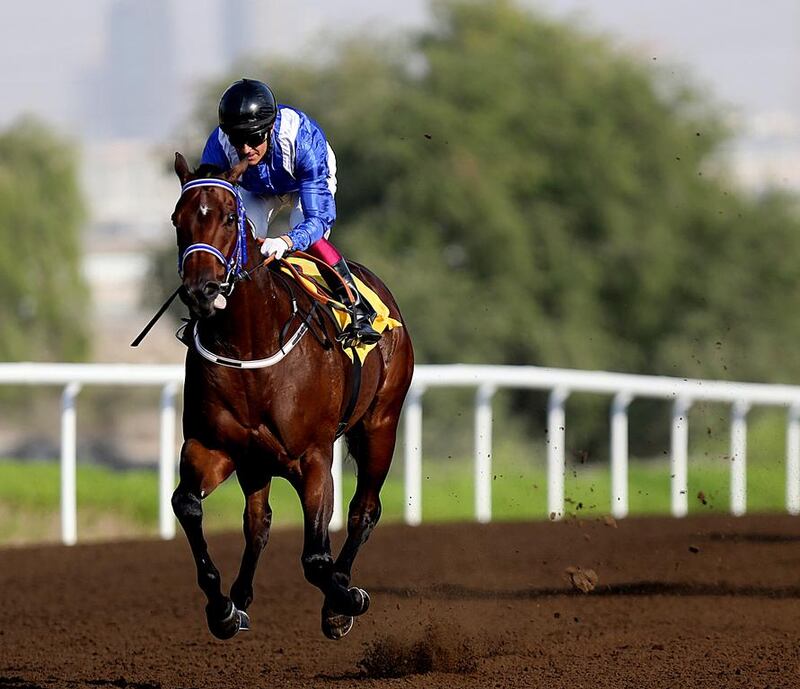 Muarrab was one of three winners for Sheikh Hamdan bin Rashid at Jebel Ali on Friday. Satish Kumar / The National