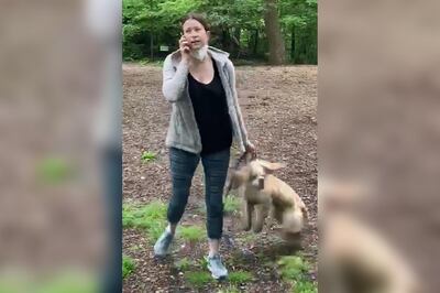 Amy Cooper, dubbed 'Central Park Karen' went viral after making baseless claims to the police about a black birdwatcher called Christian Cooper. Twitter