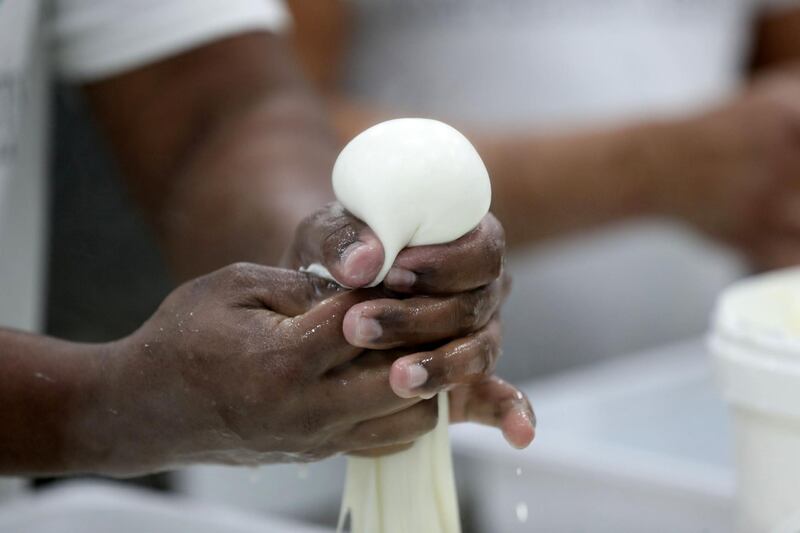 Sharjah, United Arab Emirates - Reporter: Kelly Clarke. News. Food. Burrata is made. Italian Dairy Products is a factory in Sharjah that makes mozzarella cheese the Italian way using local UAE ingredients. Monday, February 15th, 2021. Dubai. Chris Whiteoak / The National