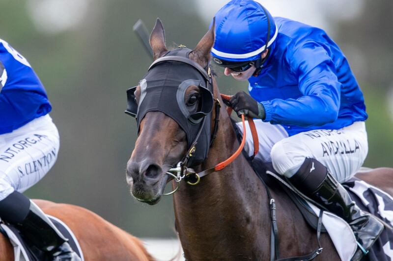 SYDNEY, AUSTRALIA - FEBRUARY 12: Brenton Avdulla on Gaulois wins race 4 the Bowness Stud Mile during Sydney Racing at Warwick Farm on February 12, 2020 in Sydney, Australia. (Photo by Jenny Evans/Getty Images)