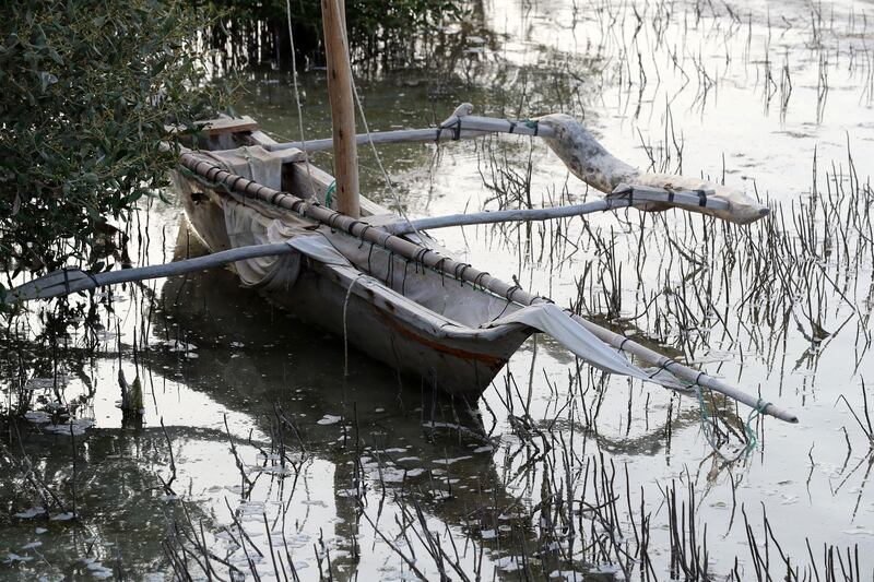 Visitors can take a boat through the mangroves at high tide.