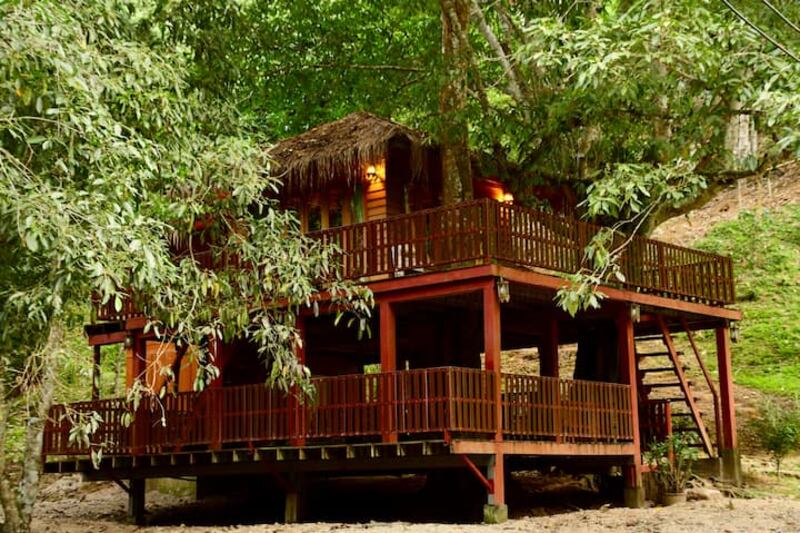 8. The DreamCaught treehouse in Chiang Mai, Thailand.