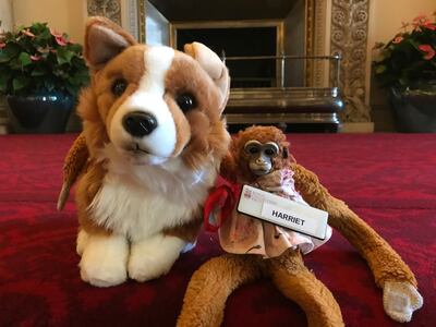 Harriet flew back to Australia with her new friend Rex, a stuffed toy Corgi. Courtesy Royal Collection Trust / © Her Majesty Queen Elizabeth II 2019.