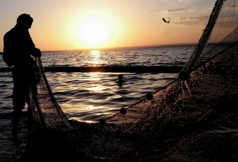 Qarun Lake, set between irrigated farmland and rocky desert south-west of Cairo, used to teem with tilapia, bass, bream and shrimp, offering generous catches to fishermen from surrounding villages. All photos: Reuters