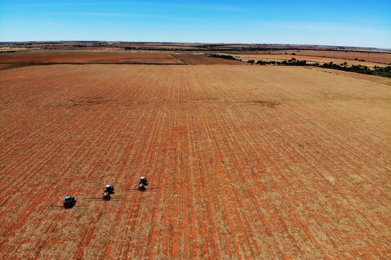 Farmers spread fertiliser on a farm in Gerdau, North West province, South Africa. AP Photo